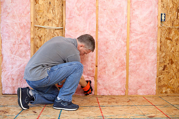 Best Commercial Insulation Services  in Shelton, CT