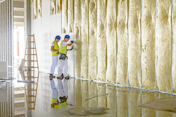 Eco-Friendly or Green Insulation Solutions in Shelton, CT